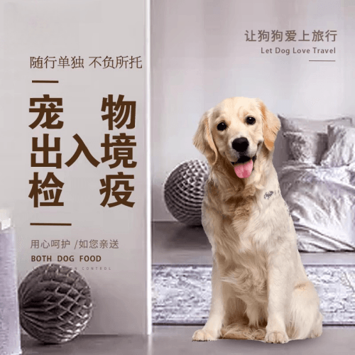 长沙市宠物托运到哥伦比亚猫狗宠物入境规定和