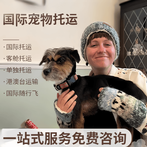 长沙市国际宠物托运到阿根廷宠物入境规定和要