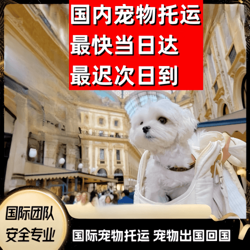 长沙市到澳大利亚（澳洲）宠物入境规定和要求