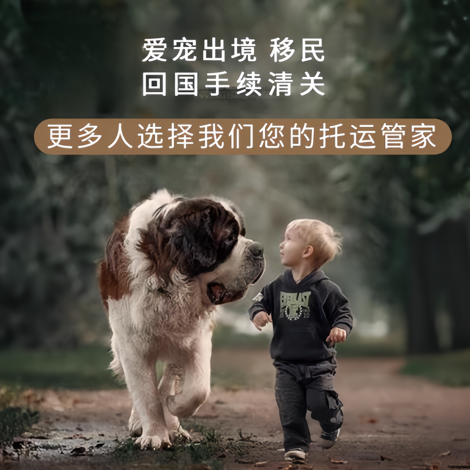 满财长沙市宠物全球达宠物托运在遵守入境目的地政策的条件