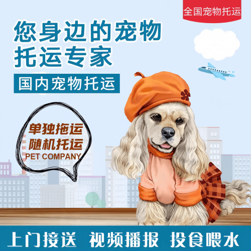 满财长沙市宠物全球达宠物托运作为专业的宠物运输代理机构